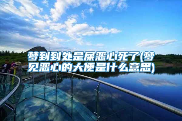 梦到到处是屎恶心死了(梦见恶心的大便是什么意思)