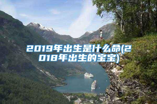2019年出生是什么命(2018年出生的宝宝)
