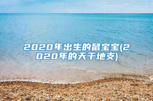 2020年出生的鼠宝宝(2020年的天干地支)