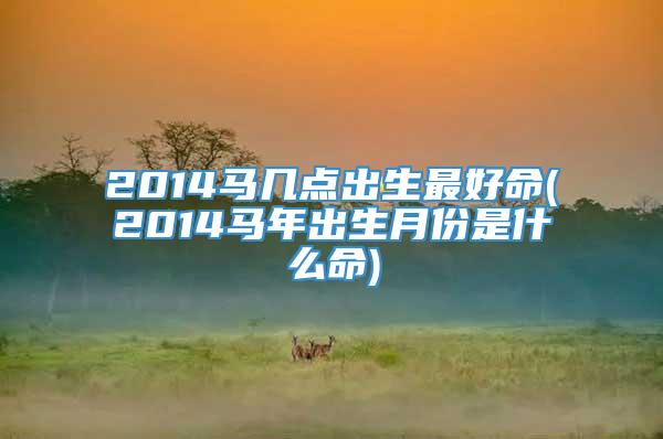 2014马几点出生最好命(2014马年出生月份是什么命)