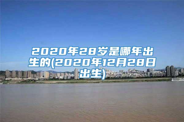 2020年28岁是哪年出生的(2020年12月28日出生)