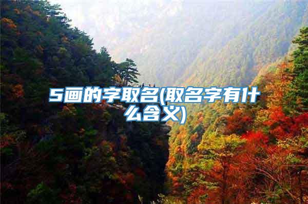 5画的字取名(取名字有什么含义)