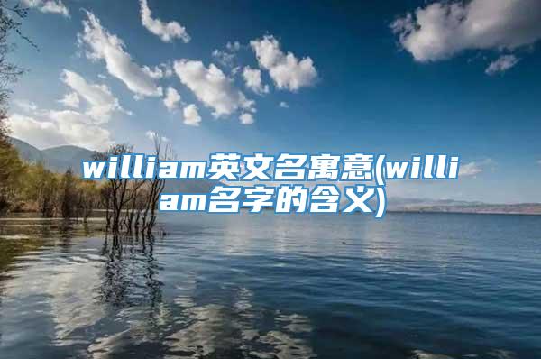 william英文名寓意(william名字的含义)