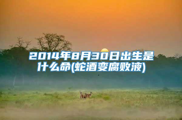 2014年8月30日出生是什么命(蛇酒变腐败液)