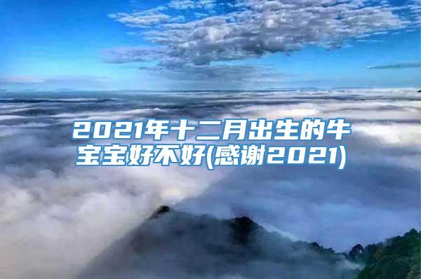 2021年十二月出生的牛宝宝好不好(感谢2021)