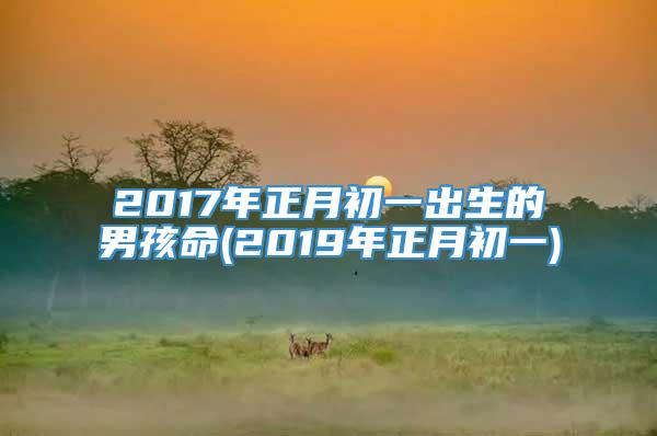 2017年正月初一出生的男孩命(2019年正月初一)