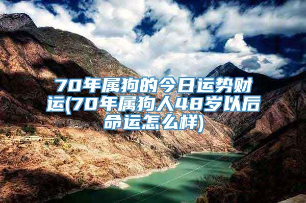 70年属狗的今日运势财运(70年属狗人48岁以后命运怎么样)