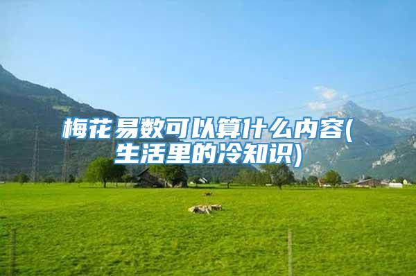 梅花易数可以算什么内容(生活里的冷知识)