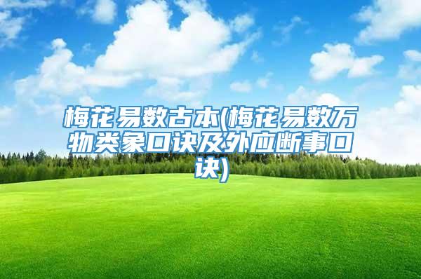 梅花易数古本(梅花易数万物类象口诀及外应断事口诀)
