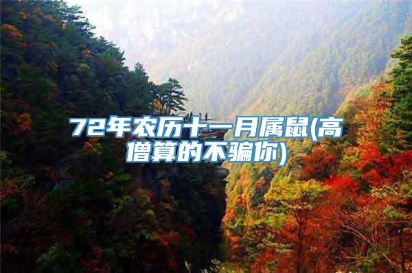 72年农历十一月属鼠(高僧算的不骗你)