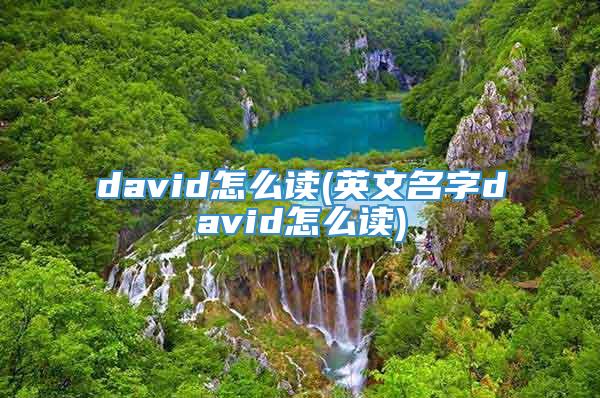 david怎么读(英文名字david怎么读)