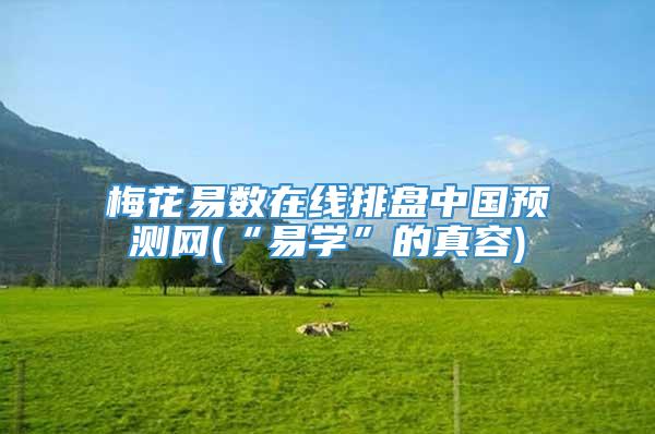 梅花易数在线排盘中国预测网(“易学”的真容)