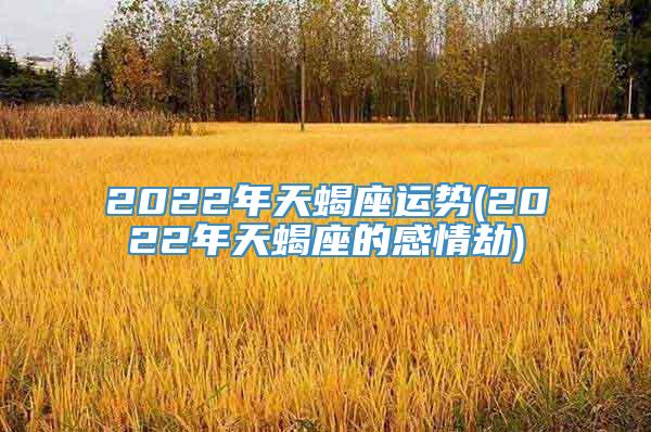 2022年天蝎座运势(2022年天蝎座的感情劫)