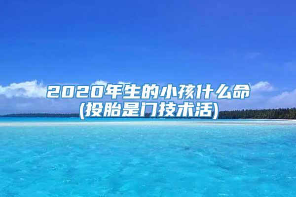 2020年生的小孩什么命(投胎是门技术活)