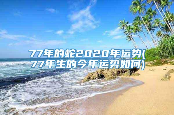 77年的蛇2020年运势(77年生的今年运势如何)