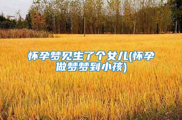 怀孕梦见生了个女儿(怀孕做梦梦到小孩)