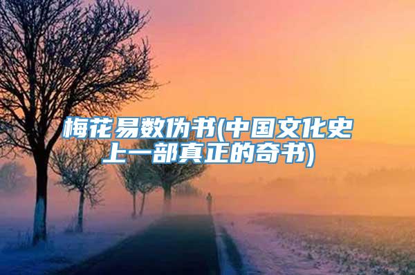 梅花易数伪书(中国文化史上一部真正的奇书)