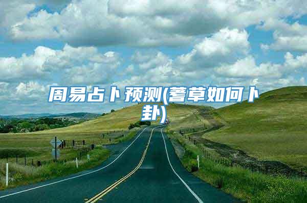 周易占卜预测(蓍草如何卜卦)