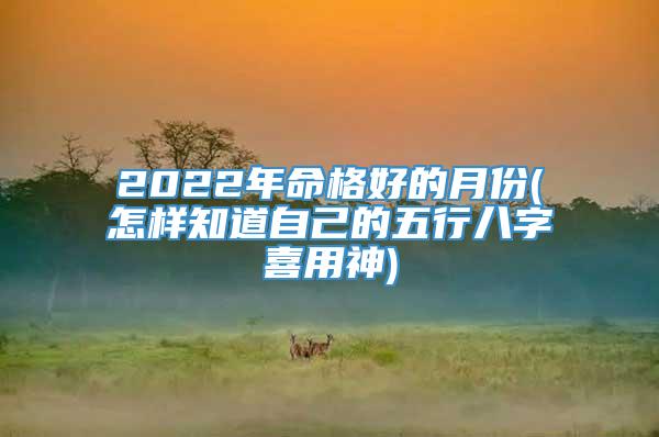 2022年命格好的月份(怎样知道自己的五行八字喜用神)