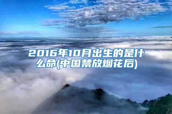 2016年10月出生的是什么命(中国禁放烟花后)