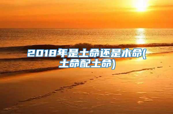 2018年是土命还是木命(土命配土命)