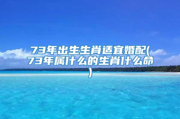 73年出生生肖适宜婚配(73年属什么的生肖什么命)