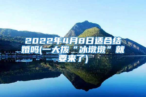 2022年4月8日适合结婚吗(一大拨“冰墩墩”就要来了)