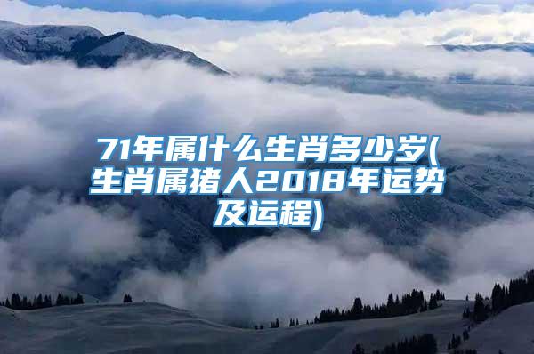 71年属什么生肖多少岁(生肖属猪人2018年运势及运程)