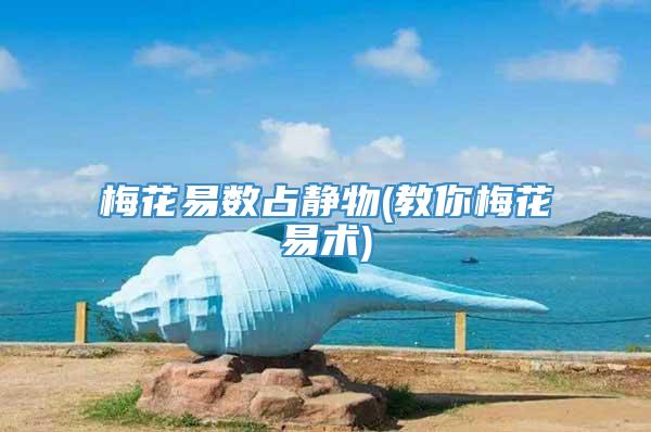 梅花易数占静物(教你梅花易术)