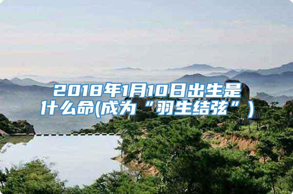 2018年1月10日出生是什么命(成为“羽生结弦”)