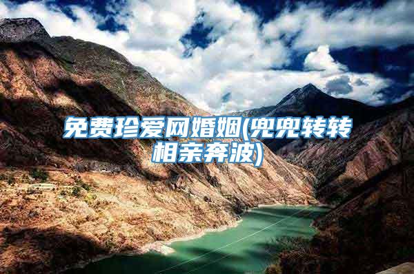 免费珍爱网婚姻(兜兜转转相亲奔波)