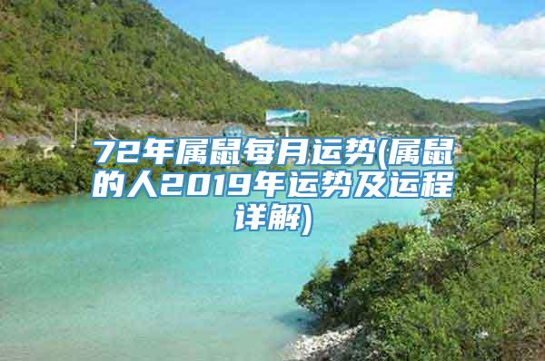 72年属鼠每月运势(属鼠的人2019年运势及运程详解)