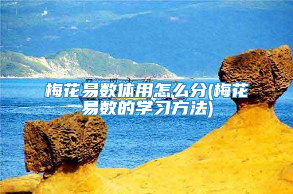 梅花易数体用怎么分(梅花易数的学习方法)