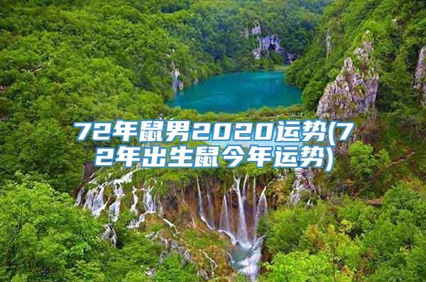 72年鼠男2020运势(72年出生鼠今年运势)