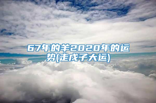 67年的羊2020年的运势(走戊子大运)