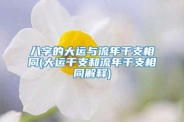 八字的大运与流年干支相同(大运干支和流年干支相同解释)