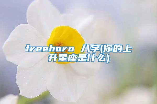 freehoro 八字(你的上升星座是什么)