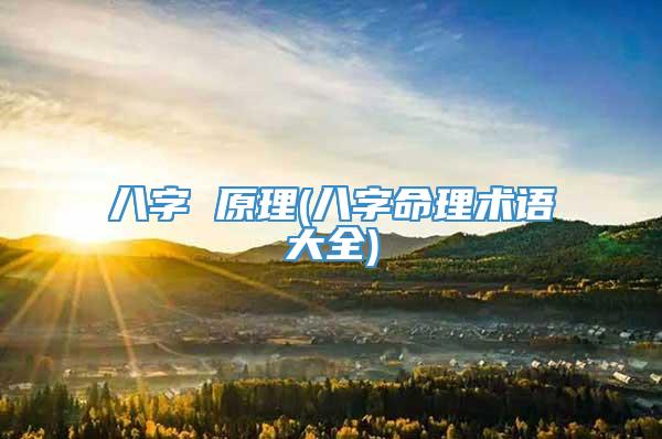 八字 原理(八字命理术语大全)