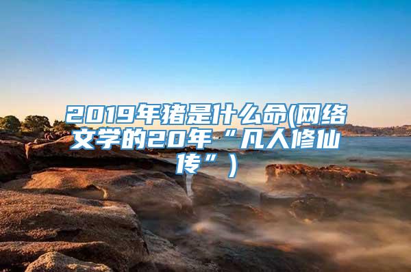 2019年猪是什么命(网络文学的20年“凡人修仙传”)