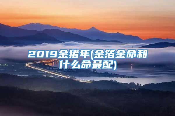 2019金猪年(金箔金命和什么命最配)