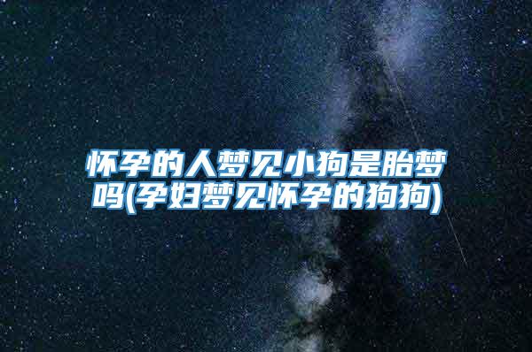 怀孕的人梦见小狗是胎梦吗(孕妇梦见怀孕的狗狗)