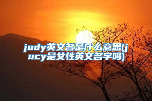 judy英文名是什么意思(jucy是女性英文名字吗)