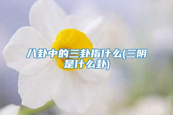 八卦中的三卦指什么(三阴是什么卦)