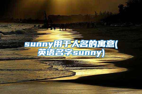 sunny用于人名的寓意(英语名字sunny)