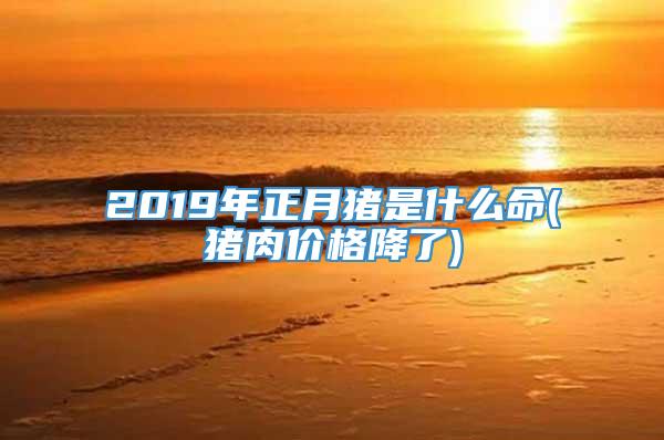 2019年正月猪是什么命(猪肉价格降了)