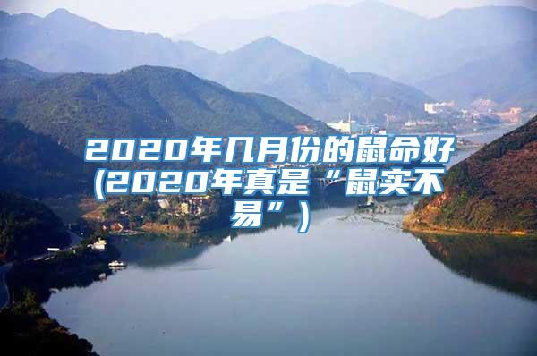 2020年几月份的鼠命好(2020年真是“鼠实不易”)