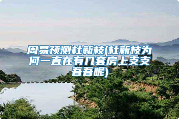 周易预测杜新枝(杜新枝为何一直在有几套房上支支吾吾呢)