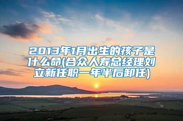 2013年1月出生的孩子是什么命(合众人寿总经理刘立新任职一年半后卸任)