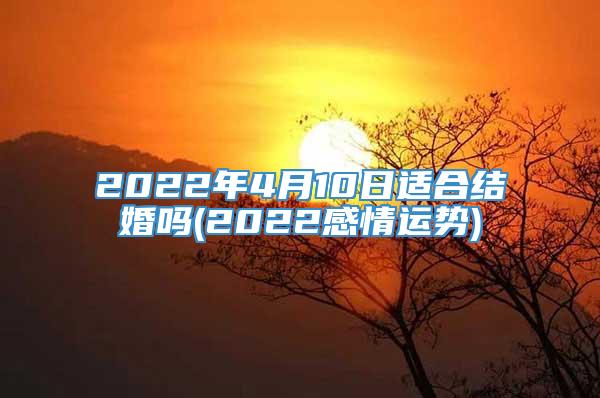 2022年4月10日适合结婚吗(2022感情运势)