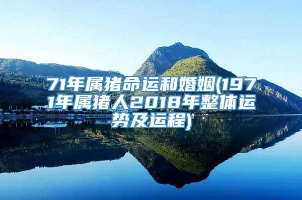 71年属猪命运和婚姻(1971年属猪人2018年整体运势及运程)